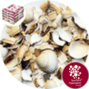 Barra Shell - Harling Repair